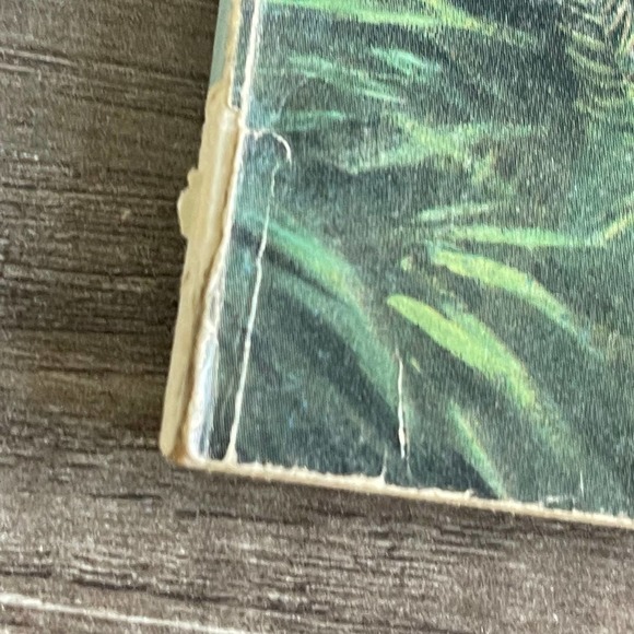 DINOSAUR STORY by JOANNA COLE MORT KUNSTLER | SCHOLASTIC [ VINTAGE 1974 ] - Picture 11 of 12